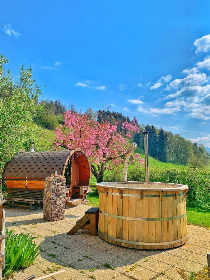 Hotel Garni Wieshof Κίρχμπεργκ ιν Τιρόλ Εξωτερικό φωτογραφία